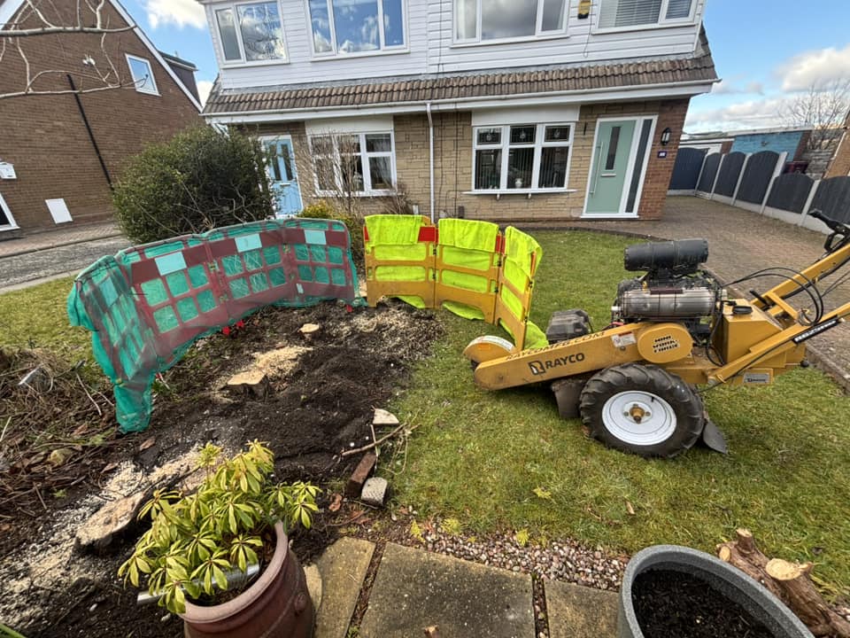 Viking stump grinding